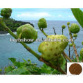 High Quality Noni Extract